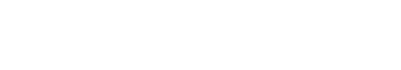 teensolo Logo